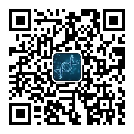 掃碼關(guān)注DNA直接車(chē)公眾號(hào)